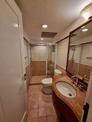Cavenagh Lodge (D9), Apartment #621953841